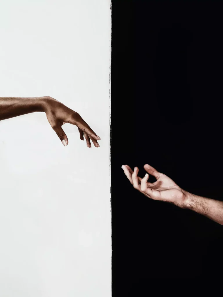 the creation